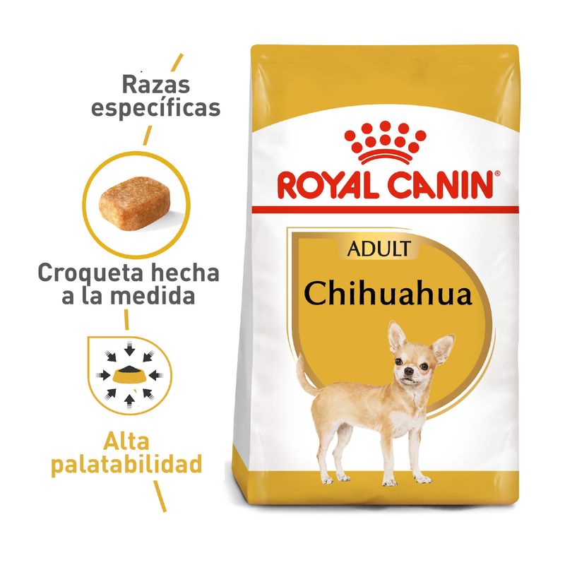 ROYCHAD3922