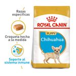 ROYCHPP3823