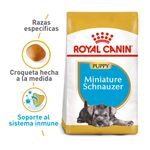 Royal Canin Alimento Para Cachorros Raza Schnauzer Mini 1.13Kg