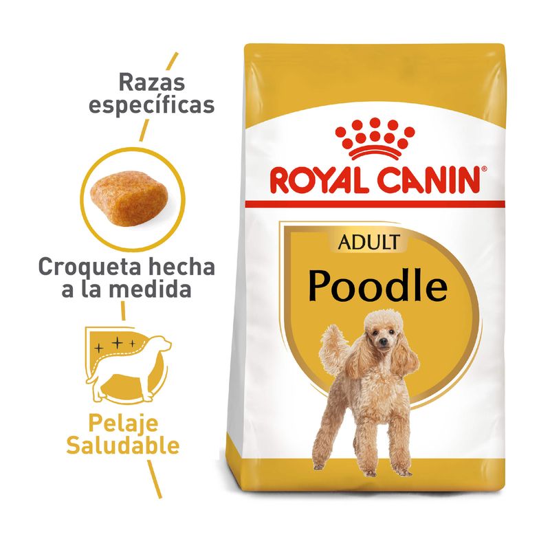 ROYPOOD3174
