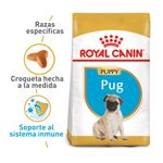ROYPUPP0655