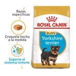 ROYYPP1257
