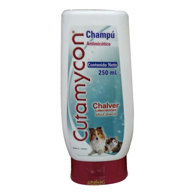new-product