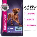 NEW-PRODUCT