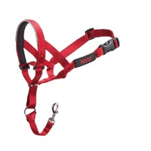 Halti Headcollar T4 Negro