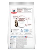 FELINE-MATURE-HAIR-BALL-3.5-LB-REF.11002076