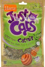 perros, gatos, cachorros, mascotas