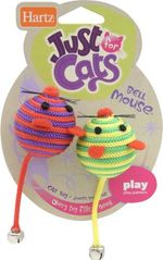 perros, gatos, cachorros, mascotas