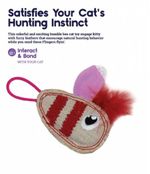 perros, gatos, cachorros, mascotas