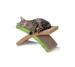 perros, gatos, cachorros, mascotas