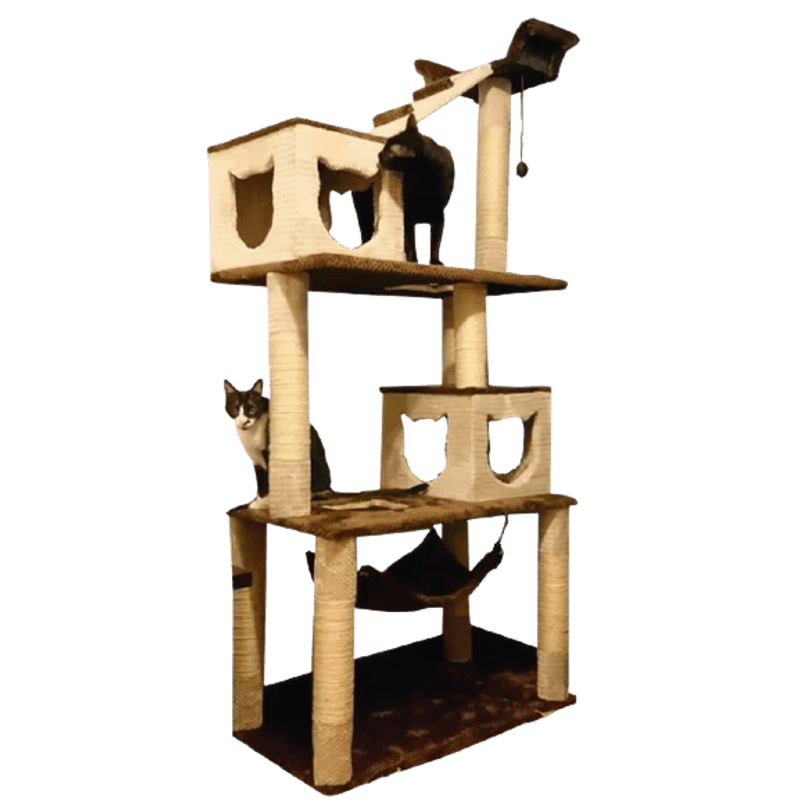 Gimnasios-para-gatos