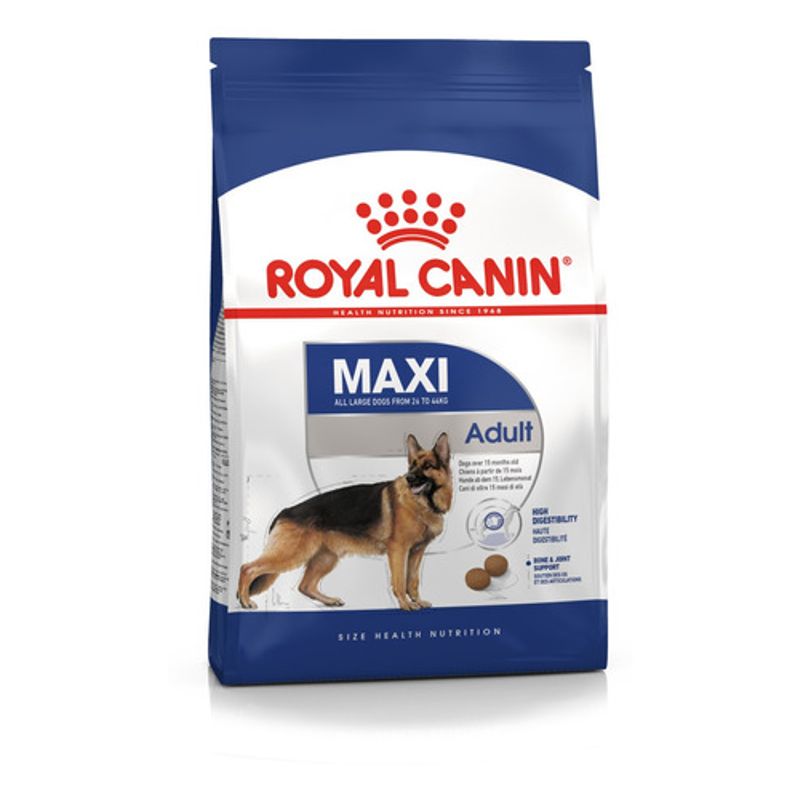 shn-maxi-adult
