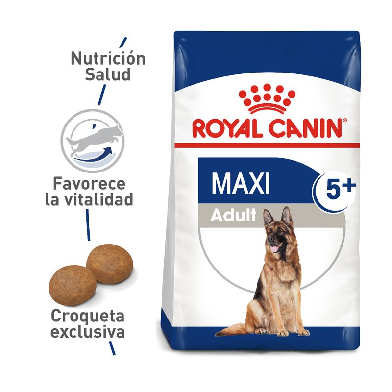 SHN-MAXI-5-