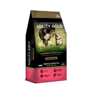 Agility Gold Primera Fase