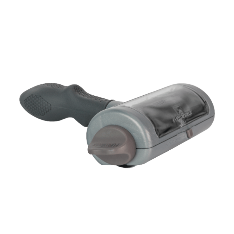 mascotascepilloperro