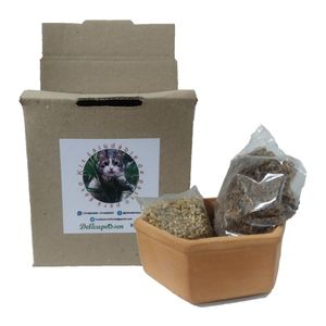 Kit Saludable Pasto Gatos Ref.Com100