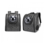 maletamorralgatosperros