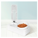 comedoresbebederogatoplato