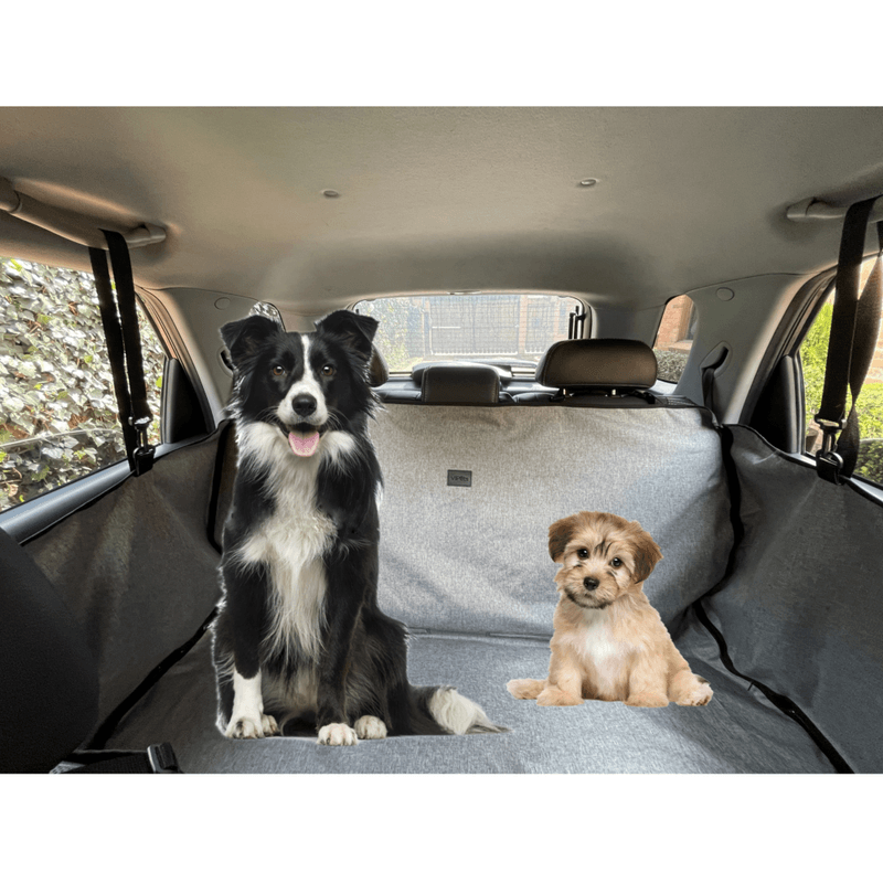 PROTECTOR-CARRO-EN-LONA