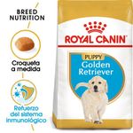BHN-GOLDEN-RETR-PUP-12-KG-REF.1261