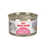 Royal-Canin-Alimento-Humedo-Para-Gato-Mother---Baby-Cat-140-G