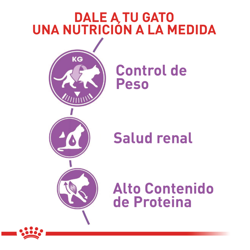 Royal-Canin-Alimento-Para-Gato-Regular-Sterilised37-400-G