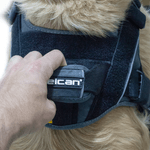 ARNES-PERRO-PASEADOR-S--VARIOS-COLORES-