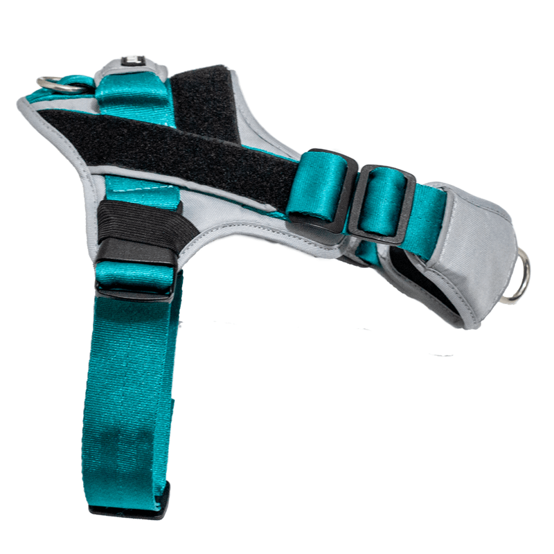 ARNES-PERRO-PASEADOR-S--VARIOS-COLORES-