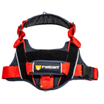 ARNES-PERRO-PASEADOR-S--VARIOS-COLORES-