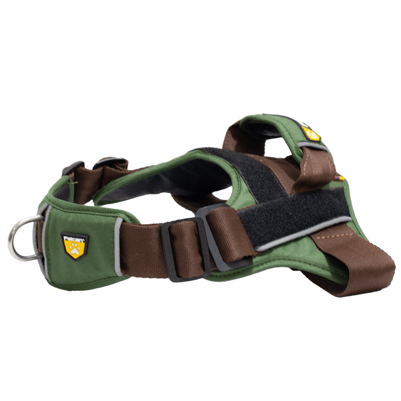 ARNES-PERRO-PASEADOR-S--VARIOS-COLORES-