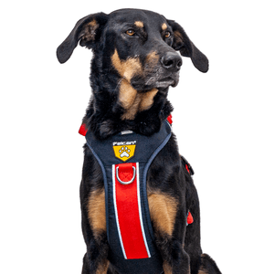 Felcan Arnes Para Perro Ref. Aventurero