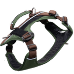 arenesperrofelcanpechera