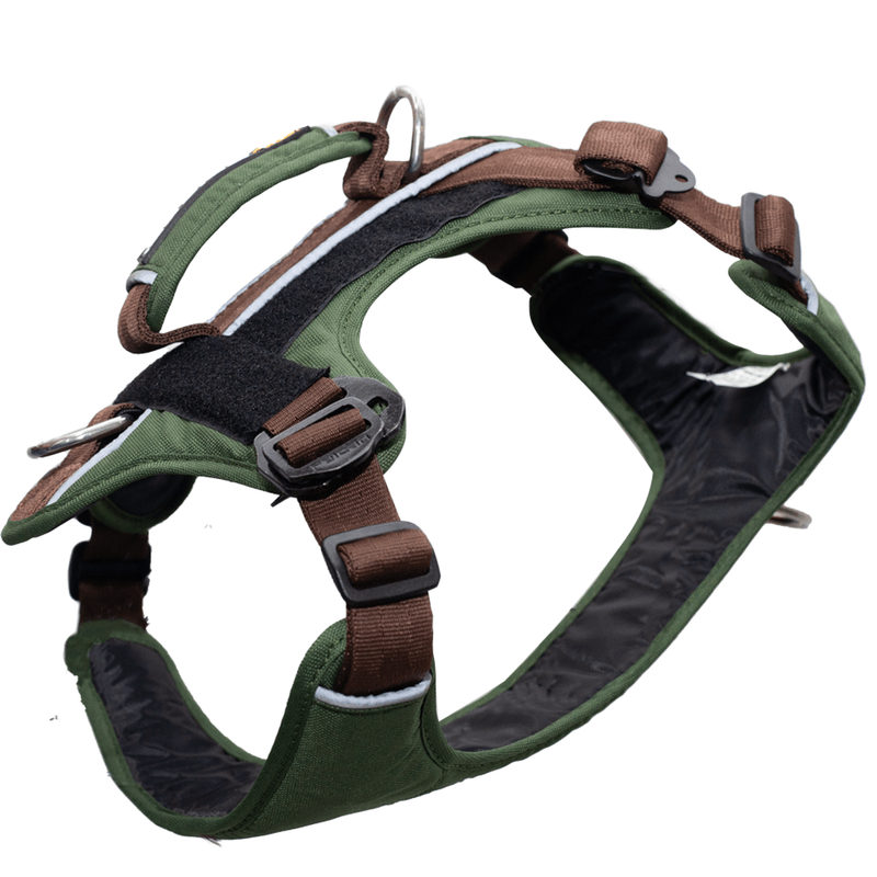 arenesperrofelcanpechera