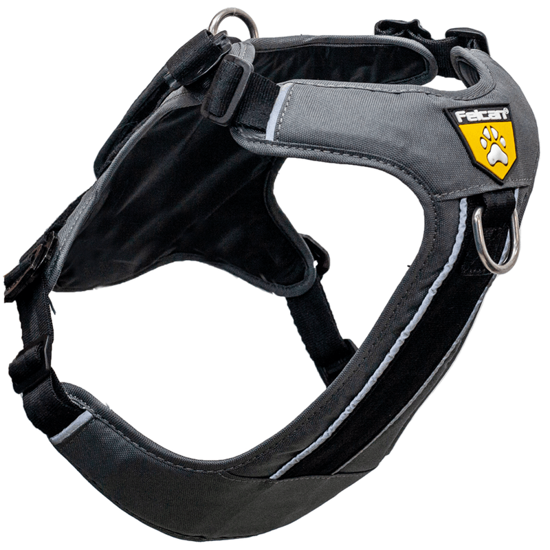 arenesperrofelcanpechera