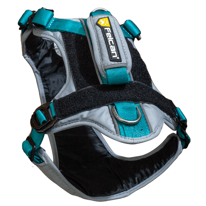 arenesperrofelcanpechera