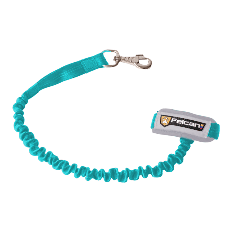 correaperrofelcanresistenteelastica