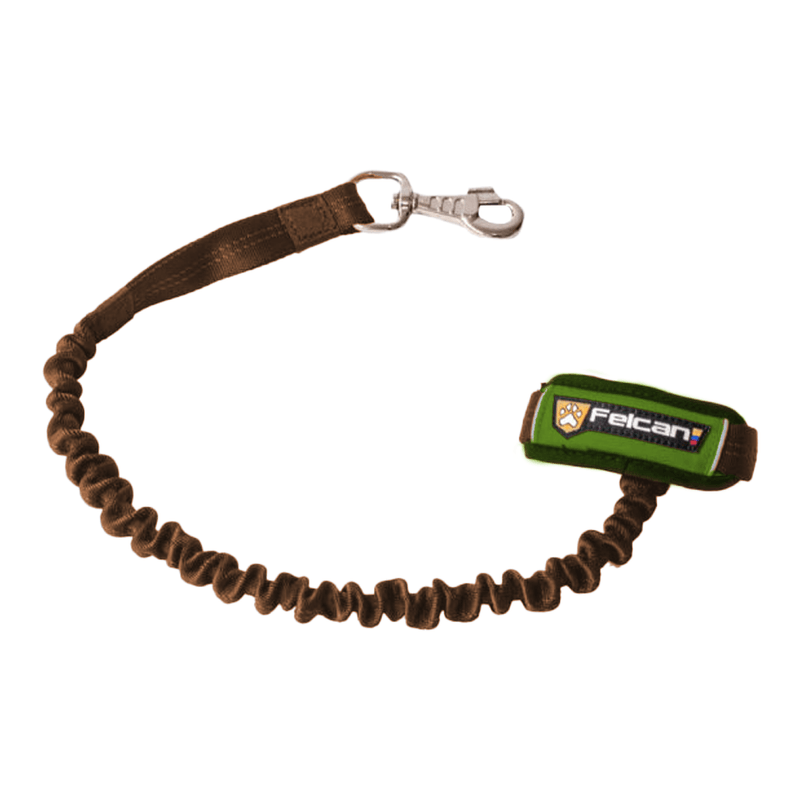 correaperrofelcanresistenteelastica