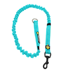 correaperrofelcanresistenteelastica