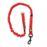 correaperrofelcanresistenteelastica