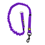 correaperrofelcanresistenteelastica