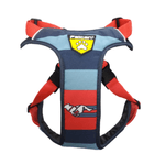 ARNES-PERRO-PASEADOR-L--VARIOS-COLORES-