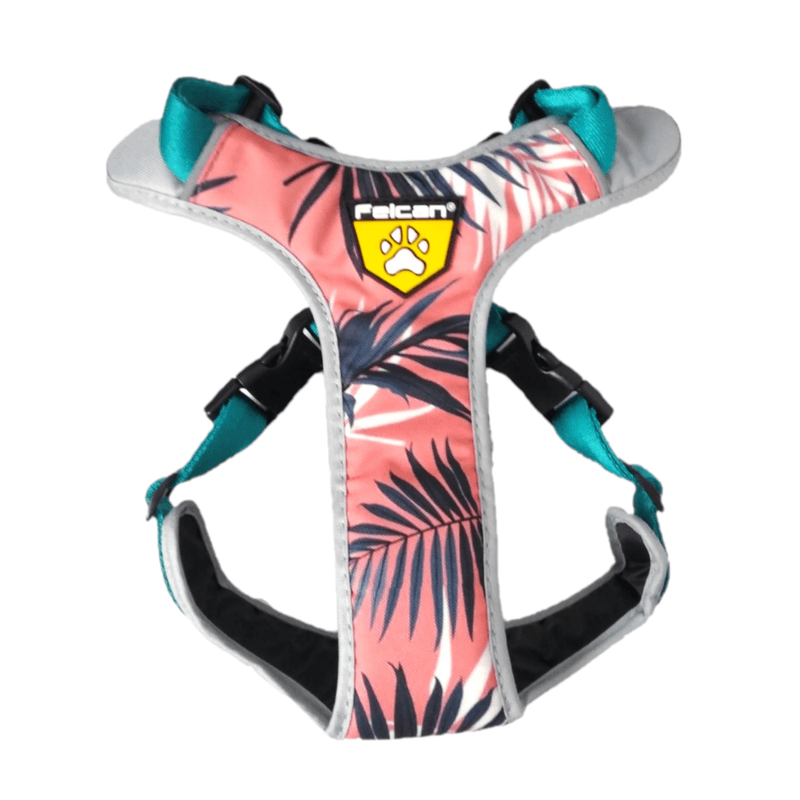 arenesperrofelcanpechera