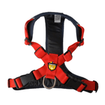 ARNES-PERRO-PASEADOR-L--VARIOS-COLORES-