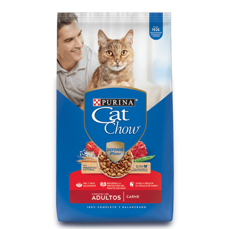 gatos-carne