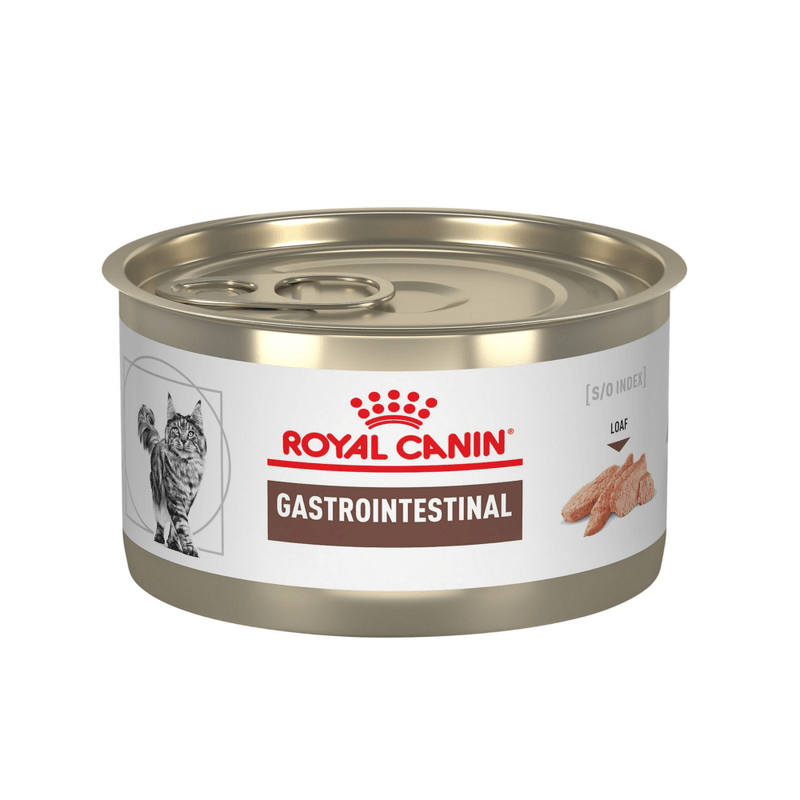 ROY-FELINE-GI-HE-LATA-145-GR-REF.7258