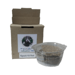 gatoshiervadegatopastogatuno