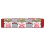 FHN-3P-KITTEN-INST-0085KG-REF.5893