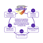 comidaguaumoralimentoperro