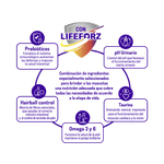 comidamiaumoralimentogato