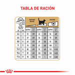 Royal-Canin-Alimento-Para-Gato-Sphynx-2-Kg--